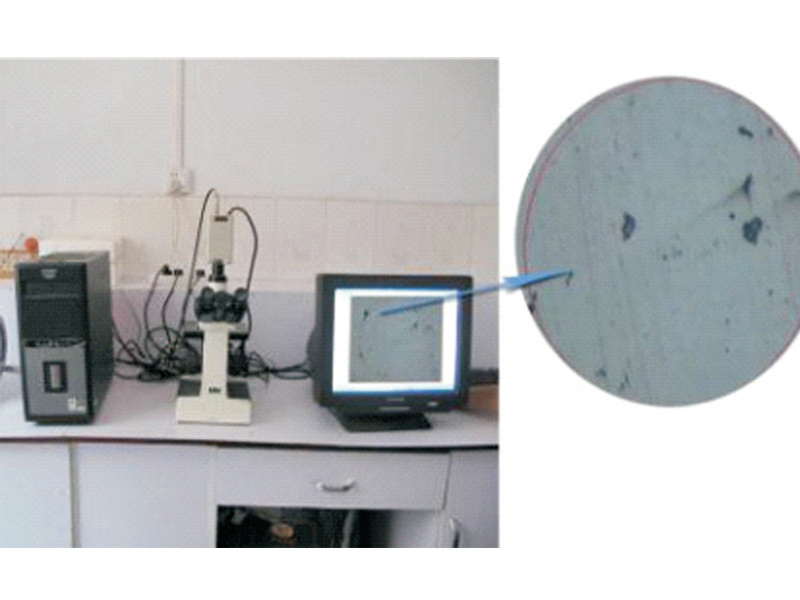 Metallographic analyzer for microstructure